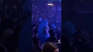 The 