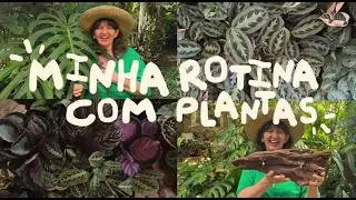 Renovating My Garden: A Rustic Craft with Branches