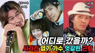 사라진 밀레니엄 엽기 가수들의 엇갈린 근황 2000년대