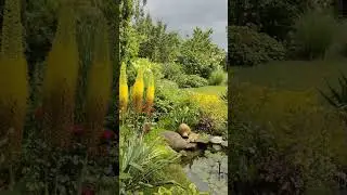 26 июня 🌞 в нашем саду 🌞