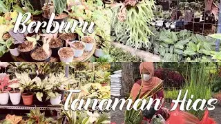 Berburu tanaman hias yang murah dan cantik di Bali