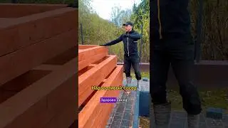 Надоедливый сосед