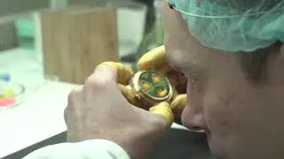 Часовой завод Ника