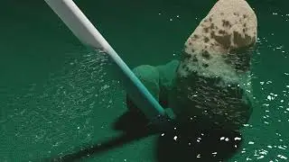 Water and rocks