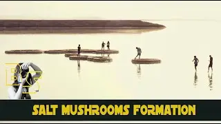 SALT MUSHROOMS FORMATION 