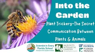 Into the Garden: Plant Trickery — The Secret Communication Between Plants and Animals