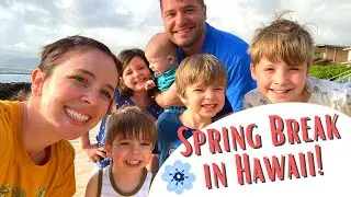 Family Trip to Hawaii Part 1 - Hanauma Bay and Pearl Harbor