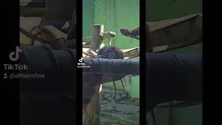 КОГДА смотришь на своего мужчину так и хочется