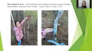 Семенова Айаана - 2 "а" кл. Тема: Дьиэ таhыгар ʏʏнэр уонна тыаҕа ʏʏнэр хатыҥнары кэтээн кɵрʏʏ