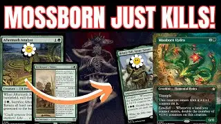Mossborn Hydra Golgari OTK :) - MTG Foundations Standard Deck
