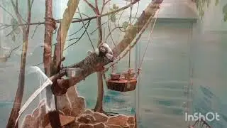Экопарк Сад юннатов