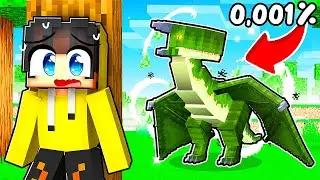 EJDERHA ADASININ EN NADİR EJDERHASINI BULDUM! (Zengin oldum🤑) | Minecraft