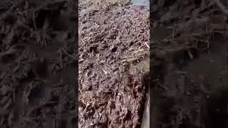 Видео прислал наш заказчик 👍