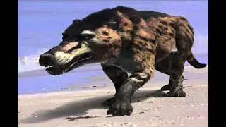 Sound Effects - Andrewsarchus