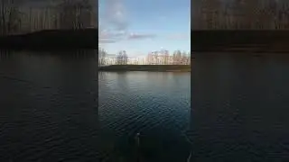 Такого вы ещё не видели. Рыбачим на обычный шарик
