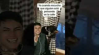 SI SOY XD.  etiqueta a tu amig@ @elsabik