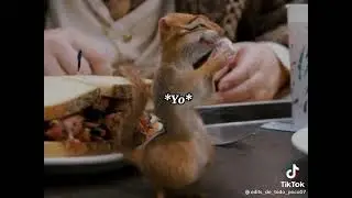 xD lo publique xq me dió risa