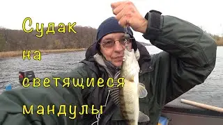 Осенняя рыбалка по судаку и окуню. Тест BIXOD E2.