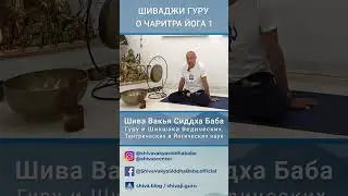 ШИВАДЖИ ГУРУ О ЧАРИТРА ЙОГА 1 