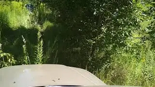 Едем пилять