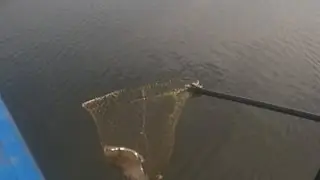 Рыбалка на 