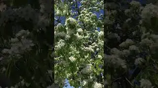 Покой для души