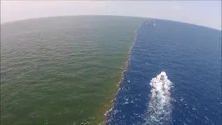AMAZING! Gulf of Alaska where two oceans meet but never mix! 🌊