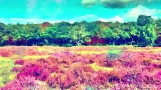 Hilight Tribe - Free Tibet (Vini Vici Remix) [Bass Boosted]