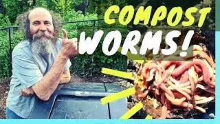 How Clearing a COMPOST BIN