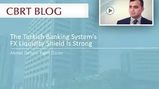 The Turkish Banking System’s FX Liquidity Shield is Strong