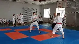 Остапенко Павло   куміте 1