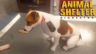 Animal Shelter Simulator Demo - PC Gameplay