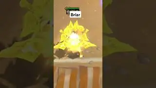 Briar 3 star 