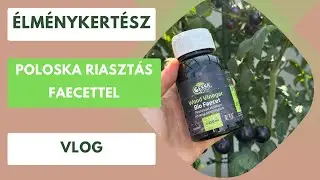 Poloska űzés Faecettel🪲