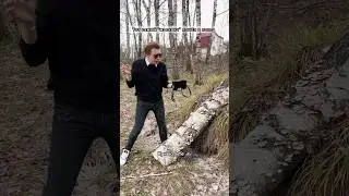 Часть 3 - Грибной смузи или лавандовый раф? 🤔