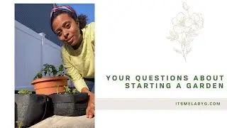 Your Questions About Starting A Garden Right Now