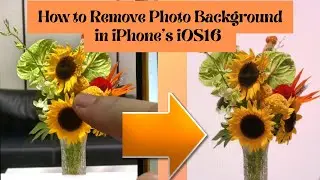 How to Remove Photo Background in iPhone | iOS 16 Photo Editing Feature