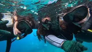 Scuba Diving in Japan | Okinawa | 2024