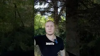 Словацкий язык 👅 ТОП 100 Выражений 2 #shorts #словацкийязык #словакия #языки #учимязык #слова #топ