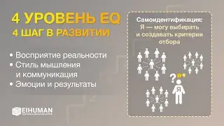 4 Уровень EQ: 4-й шаг в развитии (фрагмент)