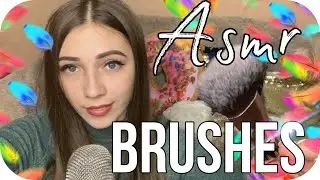 АСМР Кисточки с визуальными триггерами 🖌️ ASMR  Brushing for your sleep
