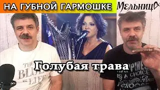 Голубая трава на губной гармошке (кавер гр. Мельница)