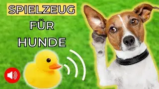 Spielzeug für Hunde 🐶 beschäftigung für hunde