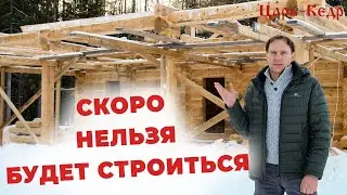 Заготовка леса на строительство сруба из кедра. Строительство домов из кедра.