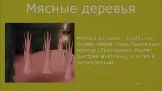 Фотожабный завод - серия 12 (презентация мясных деревьев)