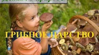 Царство грибов 2 класс ☂ Информация о грибах для детей
