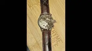 1950's Zodiac Watch Saved!