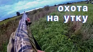 Охота на утку. В поисках утки на Ладожском озере. Природа Карелии.