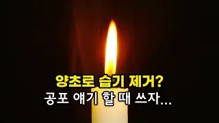 양키캔들 습기 제거하는데 도움된다?