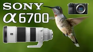 Sony a6700 Hummingbird Photography & More with the 200-600 Telephoto Lens!